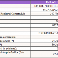 Date firma E-Flash Sales SRL